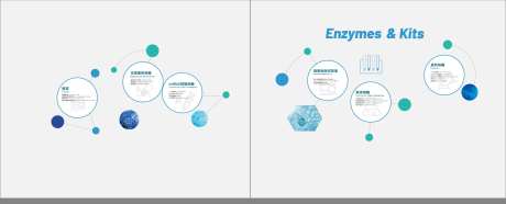 生物医药文化墙-采灵感-https://www.cailinggan.com/