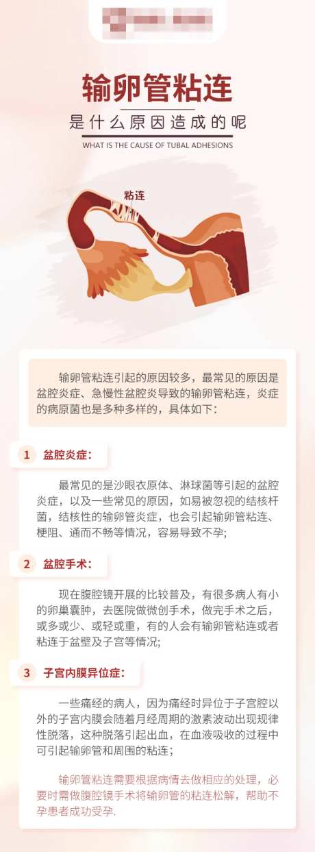 输卵管粘连不孕科普海报-采灵感-https://www.cailinggan.com/