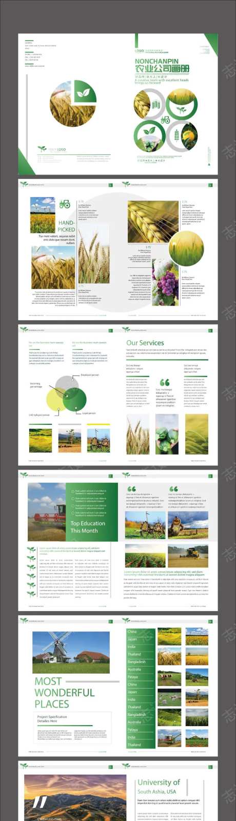 绿色农业农产品公司宣传画册-采灵感-https://www.cailinggan.com/