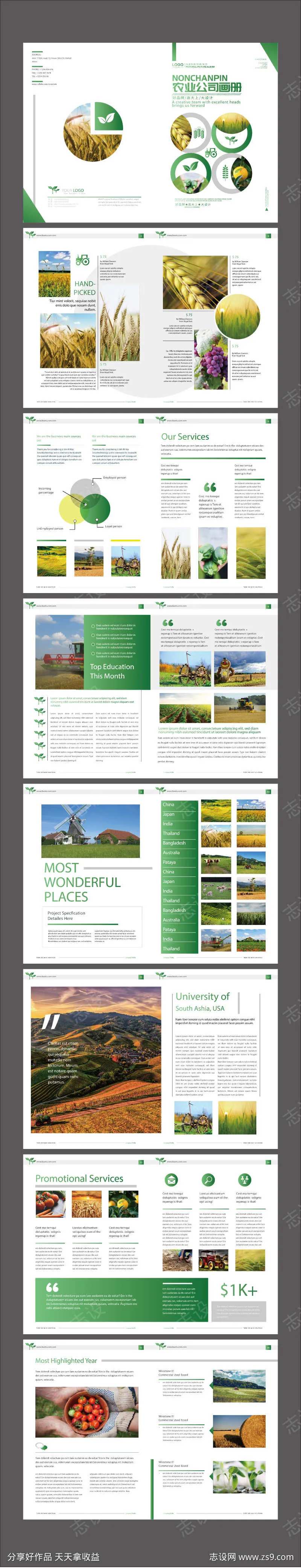 绿色农业农产品公司宣传画册-采灵感-cailinggan.com