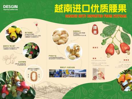 越南进口腰果产品介绍背景板-采灵感-https://www.cailinggan.com/