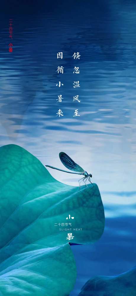 二十四节气小暑移动端海报-采灵感-https://www.cailinggan.com/