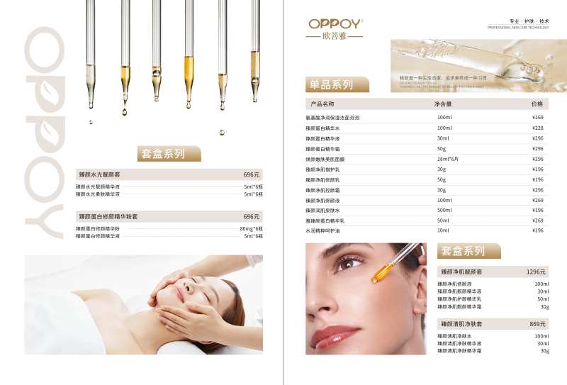 项目价格表系列海报-采灵感-cailinggan.com