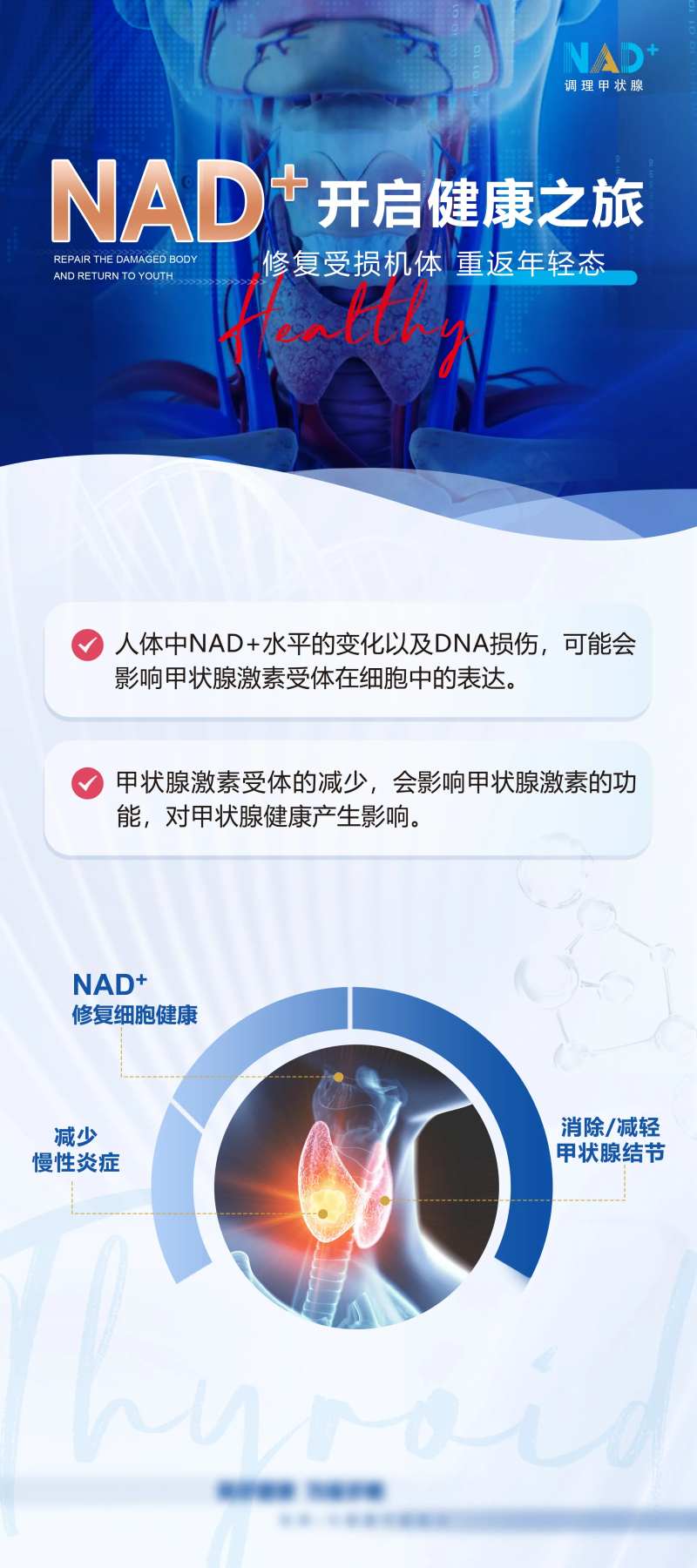 调理甲状腺海报-采灵感-cailinggan.com