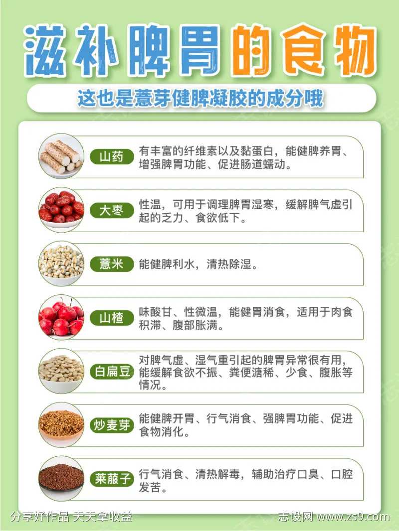 滋补脾胃的食物-采灵感-cailinggan.com