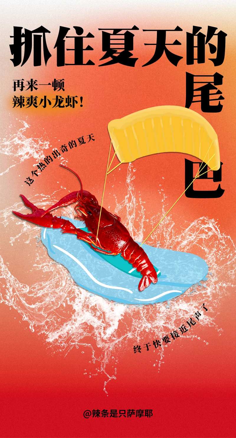 夏天的尾巴海报-采灵感-cailinggan.com