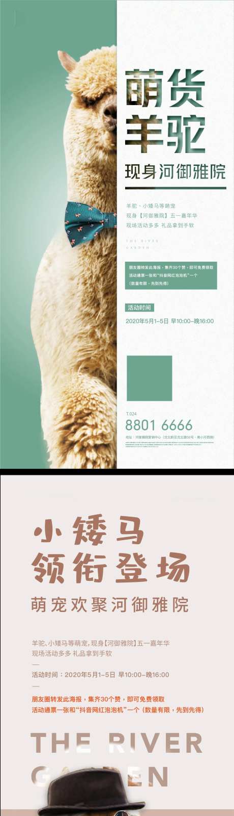 积赞有礼系列宠物活动海报-采灵感-https://www.cailinggan.com/