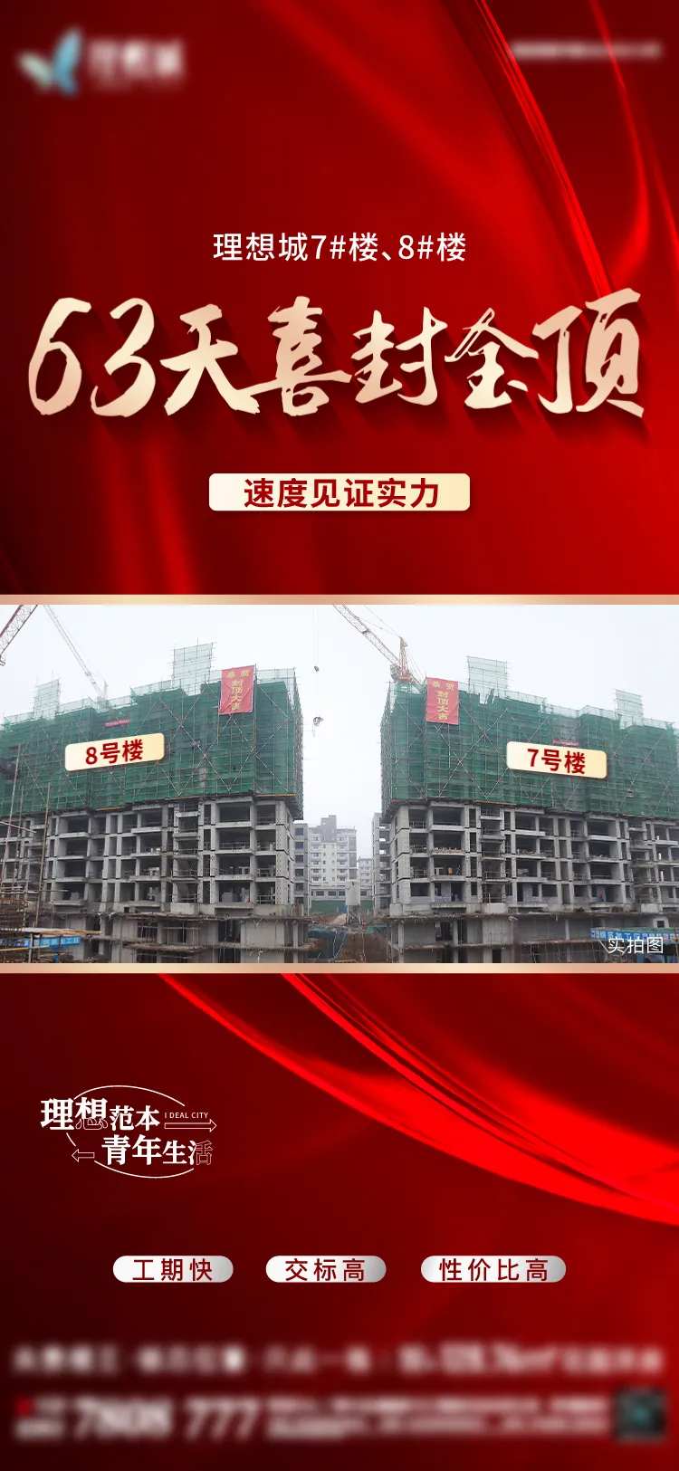 喜封金顶-采灵感-cailinggan.com