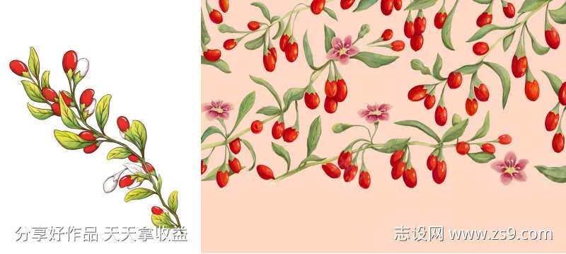 植物花纹插画-采灵感-cailinggan.com