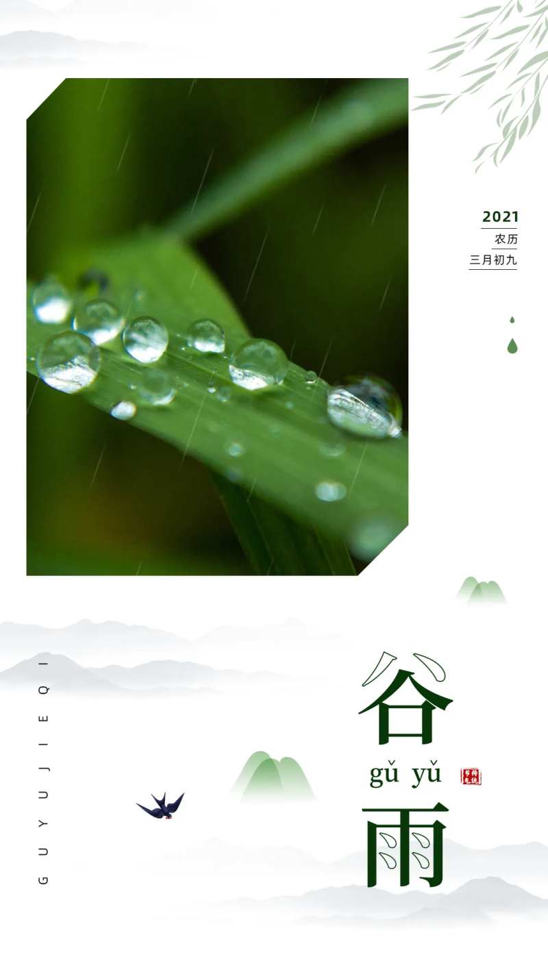 谷雨海报-采灵感-cailinggan.com