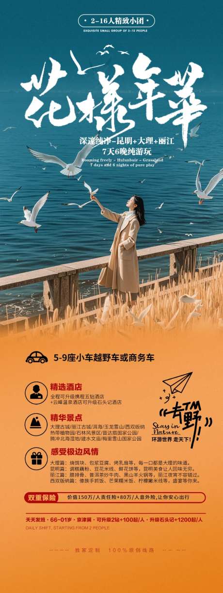 云南洱海海鸥旅游出行宣传长图海报-采灵感-https://www.cailinggan.com/