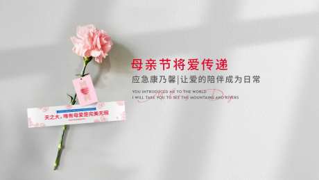 母亲节康乃馨海报                                                                                                                                                                                                -采灵感-https://www.cailinggan.com/