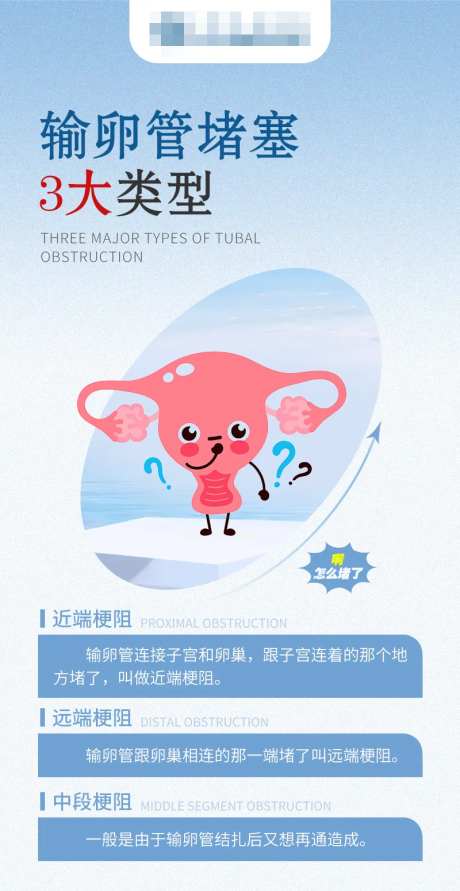 输卵管堵塞3大类型海报-采灵感-https://www.cailinggan.com/