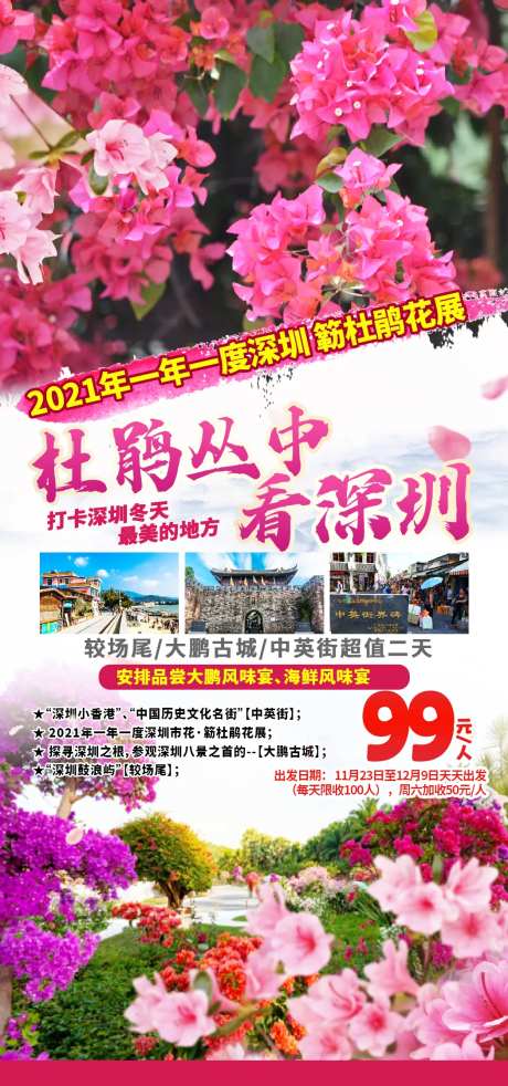 杜鹃花旅游海报-采灵感-https://www.cailinggan.com/