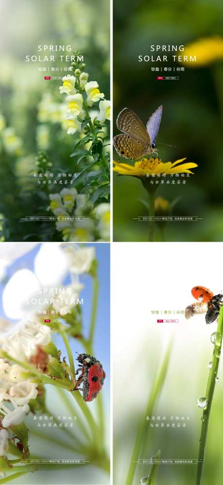 惊蛰/春风/谷雨-采灵感-https://www.cailinggan.com/