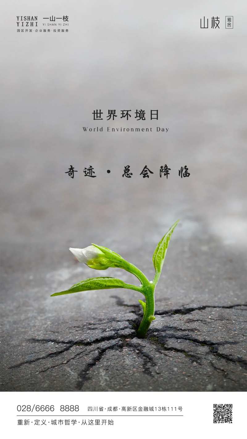 世界环境日海报-采灵感-cailinggan.com
