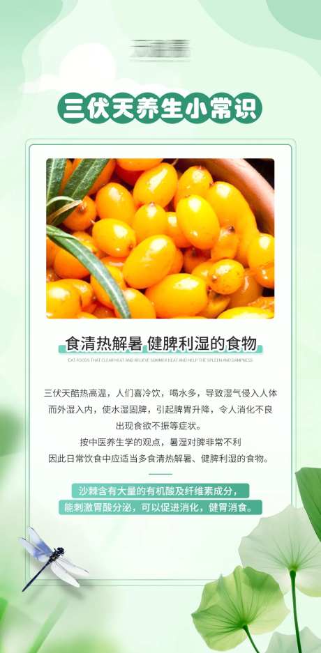 三伏天科普保健海报-采灵感-https://www.cailinggan.com/
