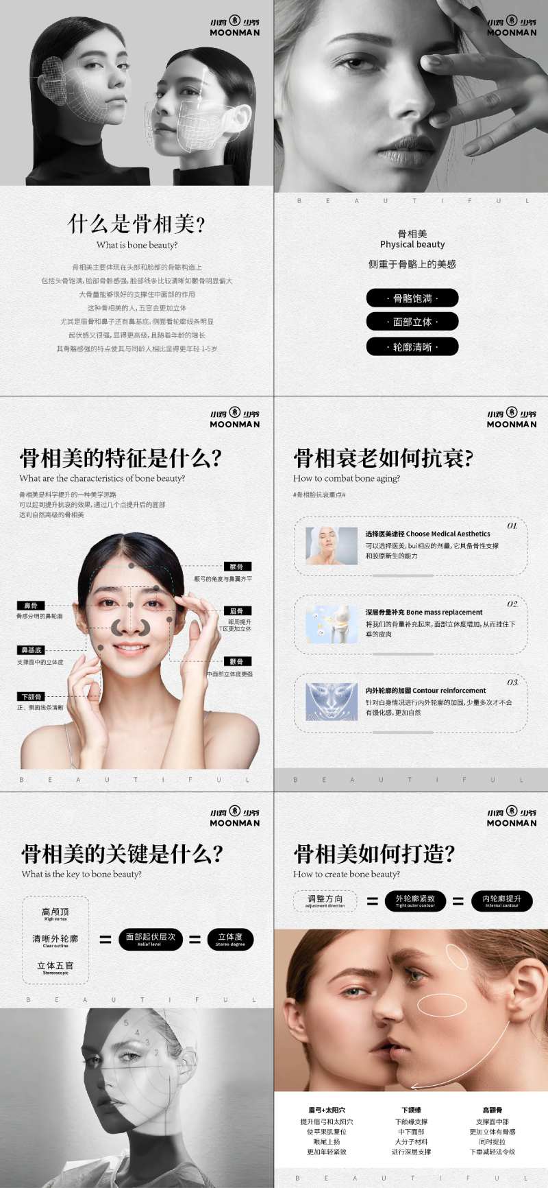 骨相美全面解析海报-采灵感-cailinggan.com