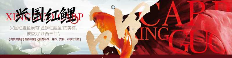 兴国红锂鱼海报-采灵感-cailinggan.com