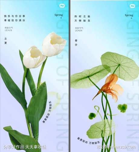 春分立夏夏至24节气荷叶百合海报-采灵感-https://www.cailinggan.com/