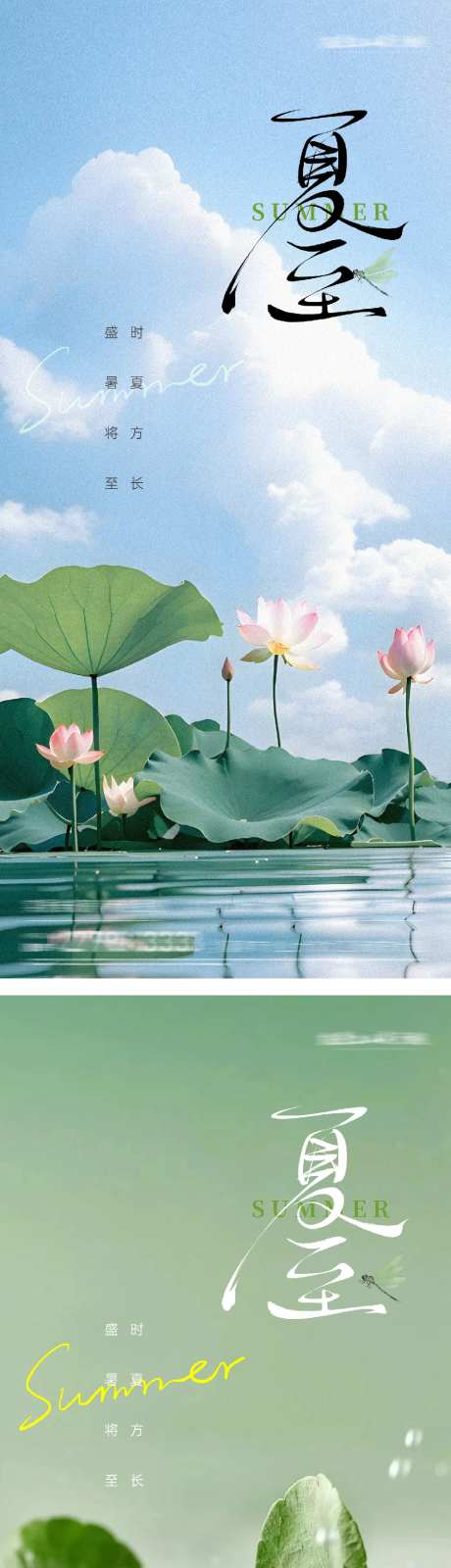 夏至大暑小暑荷花节气海报-采灵感-https://www.cailinggan.com/