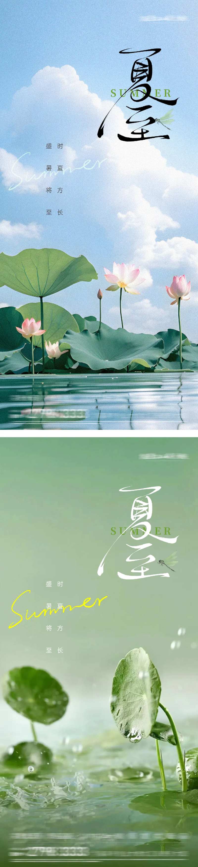 夏至大暑小暑荷花节气海报-采灵感-cailinggan.com