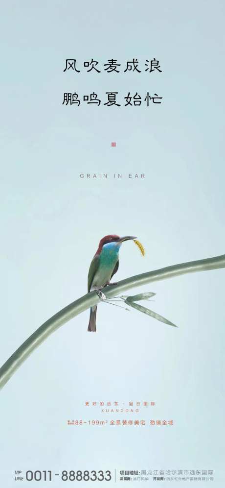 芒种微信-采灵感-https://www.cailinggan.com/