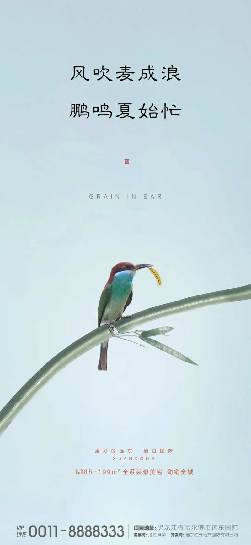 芒种微信-采灵感-cailinggan.com