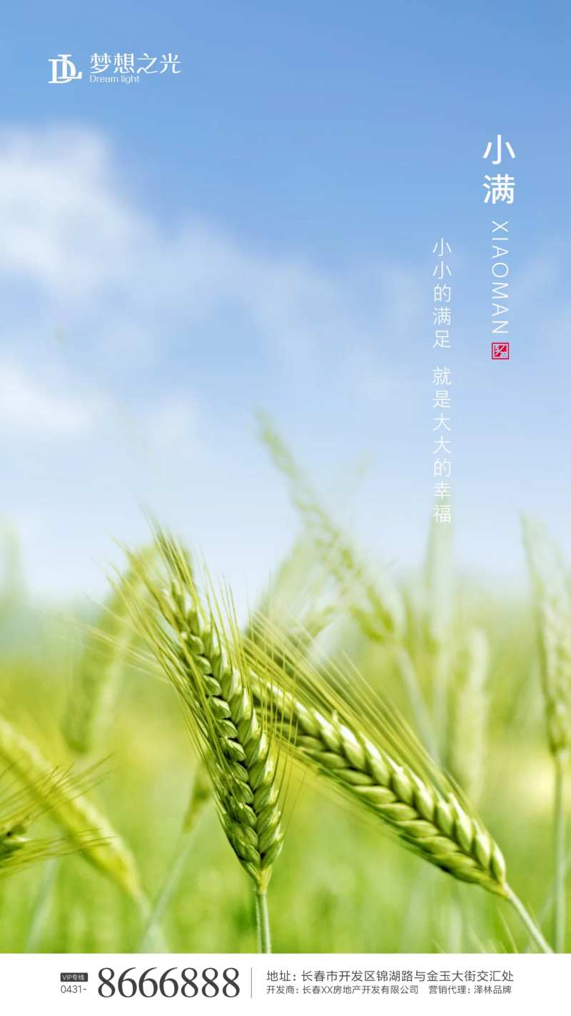 蓝色温馨小满麦子微信朋友圈海报-采灵感-cailinggan.com