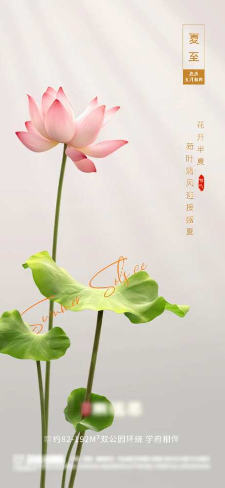 夏至荷塘海报-采灵感-https://www.cailinggan.com/