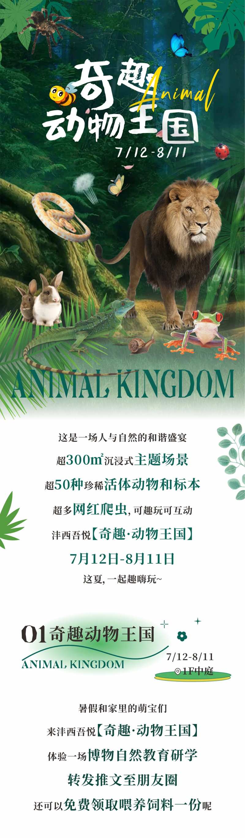 奇趣动物王国活动预告海报-采灵感-cailinggan.com