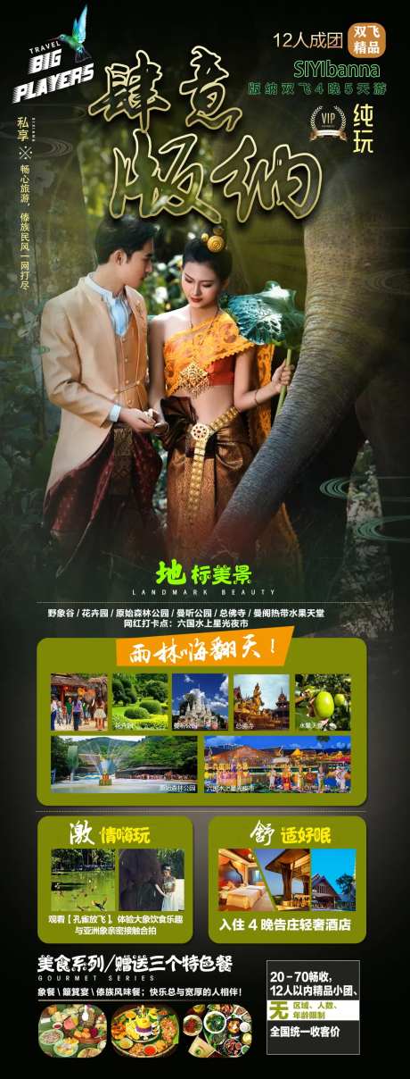 肆意西双版纳详情页-采灵感-https://www.cailinggan.com/