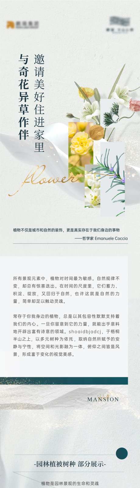 奇花异草价值点长图专题设计-采灵感-https://www.cailinggan.com/