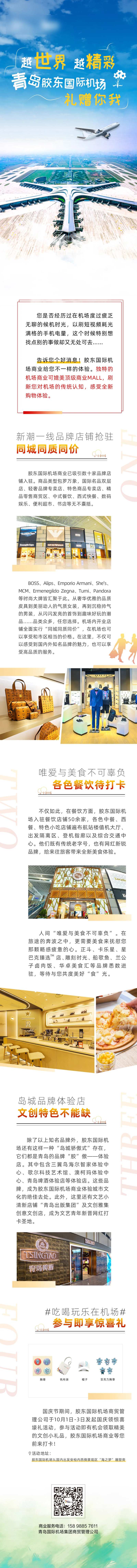 机场商务宣传海报长图-采灵感-cailinggan.com