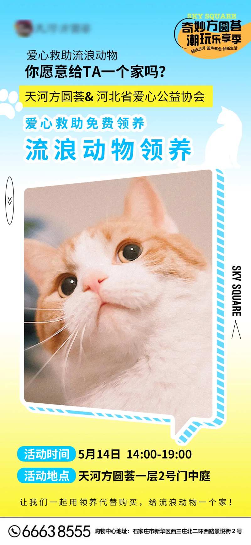 宠物领养日春日简约海报-采灵感-cailinggan.com