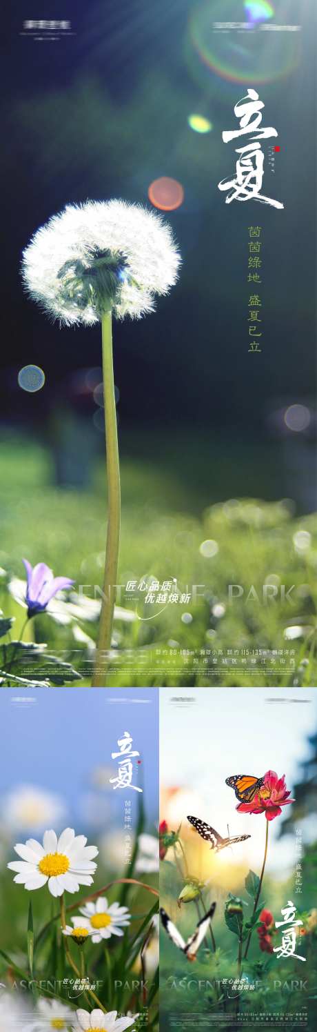 立夏二十四节日节气海报-采灵感-https://www.cailinggan.com/