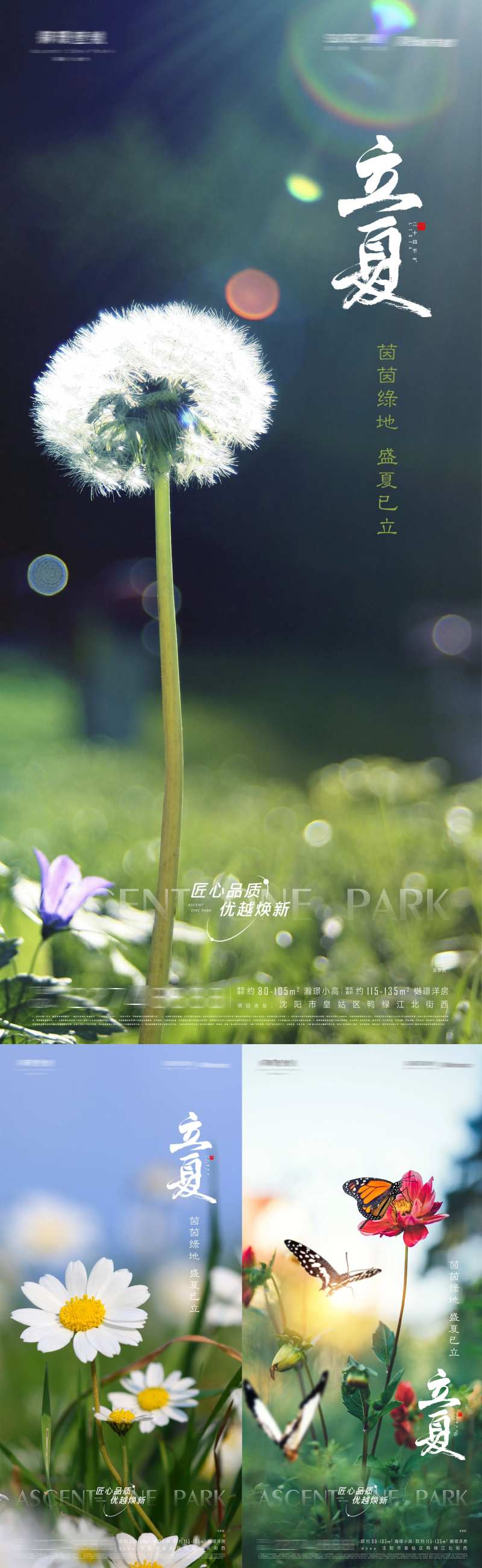 立夏二十四节日节气海报-采灵感-cailinggan.com