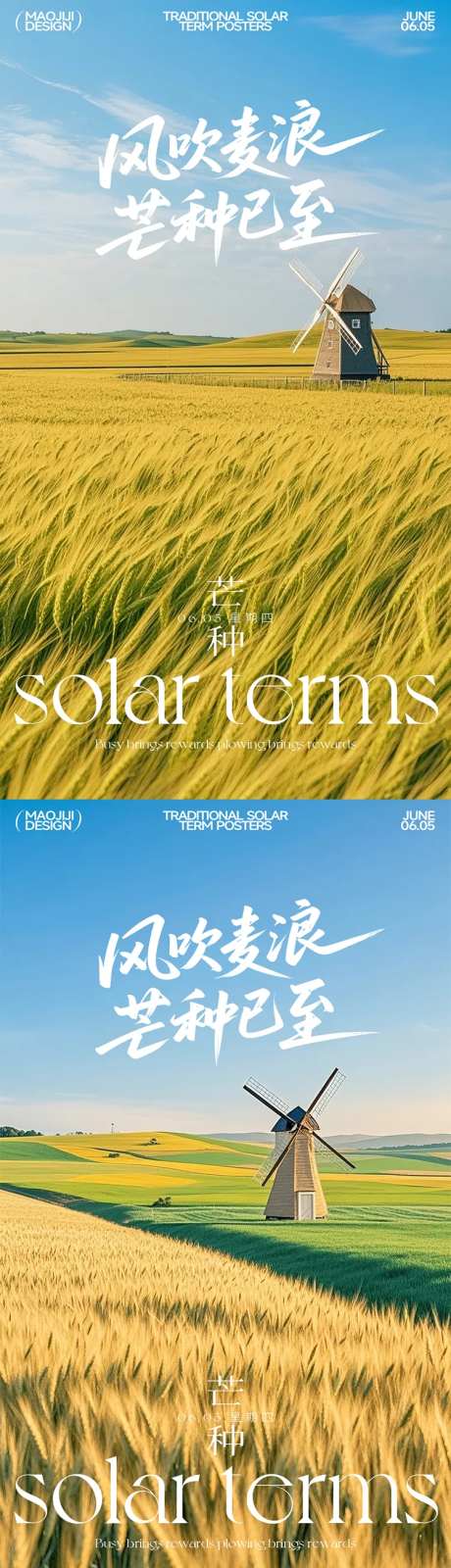 芒种风吹麦浪节气移动端海报-采灵感-https://www.cailinggan.com/