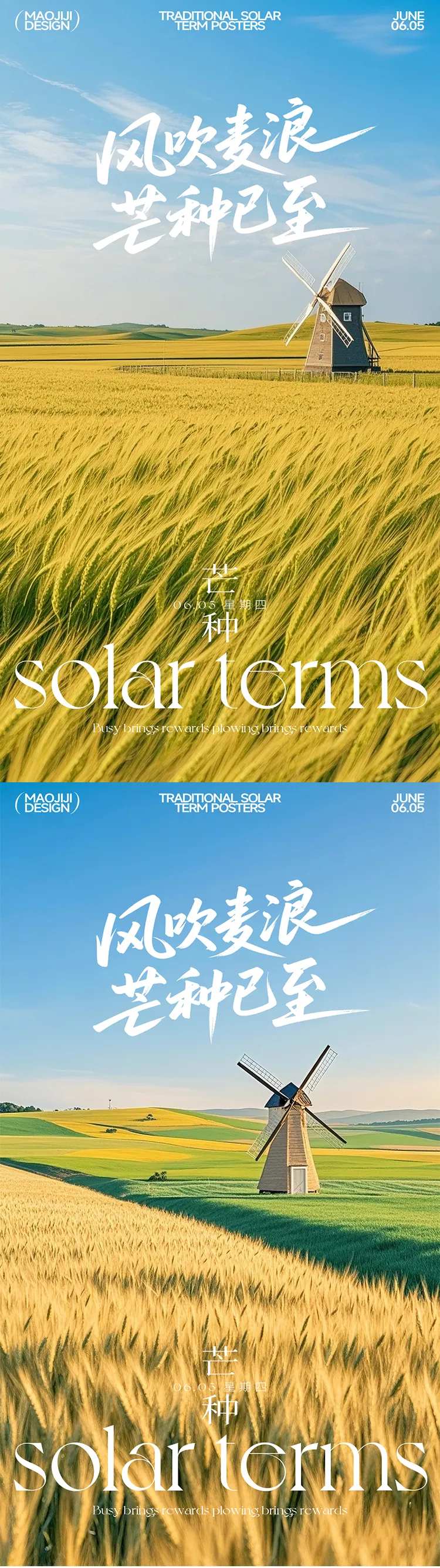 芒种风吹麦浪节气移动端海报-采灵感-cailinggan.com