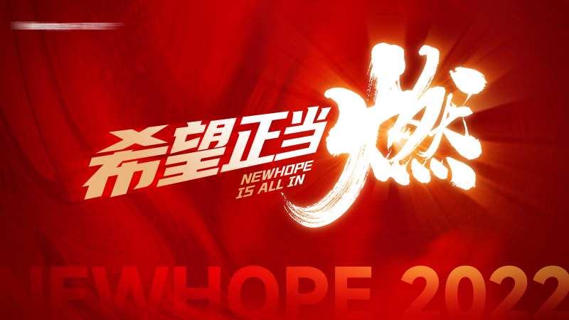 地产年终冲刺激励背景板-采灵感-cailinggan.com