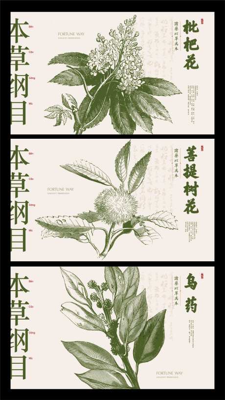 本草纲目中药展板-采灵感-https://www.cailinggan.com/