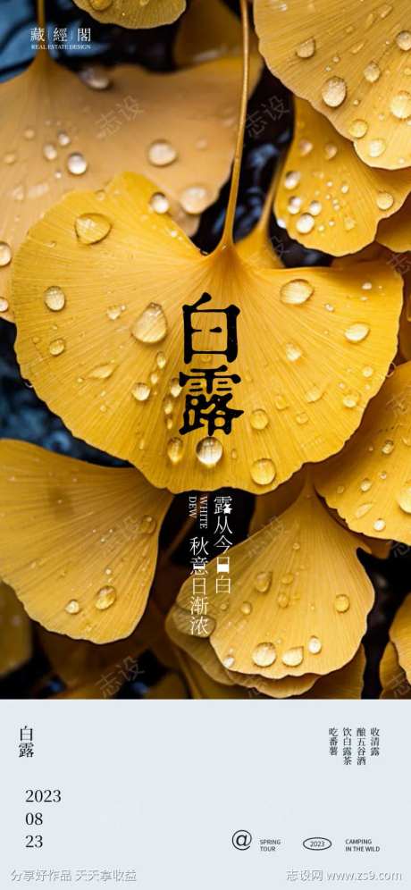 白露露珠叶子海报-采灵感-https://www.cailinggan.com/