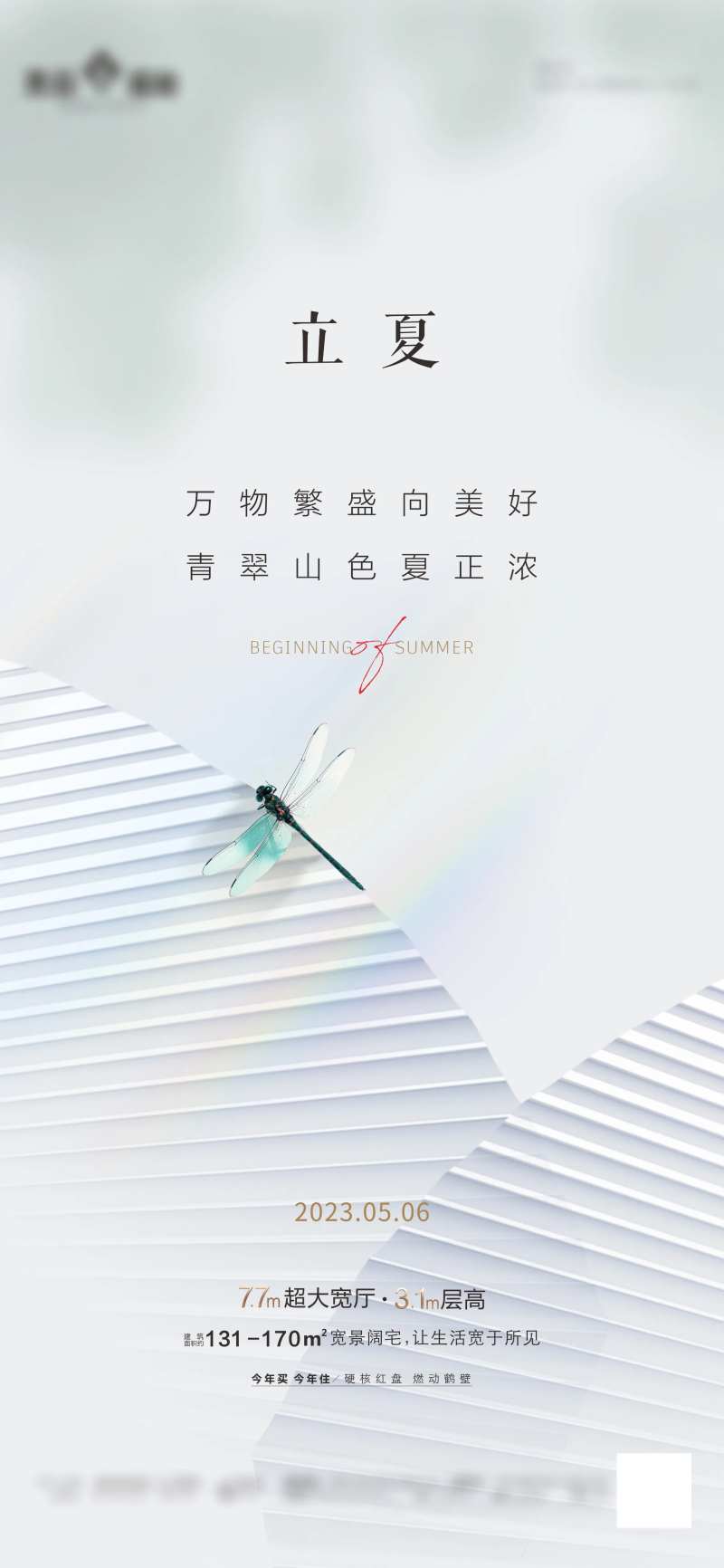 立夏海报 -采灵感-cailinggan.com