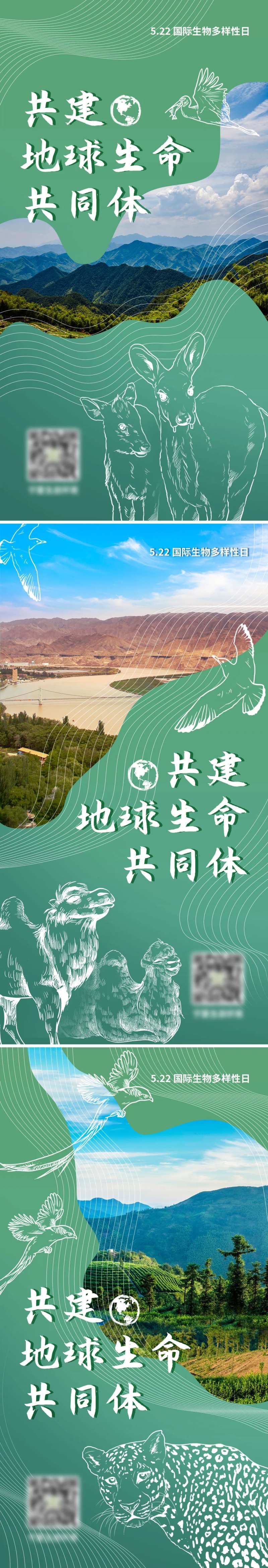 国际生物多样性日海报-采灵感-cailinggan.com