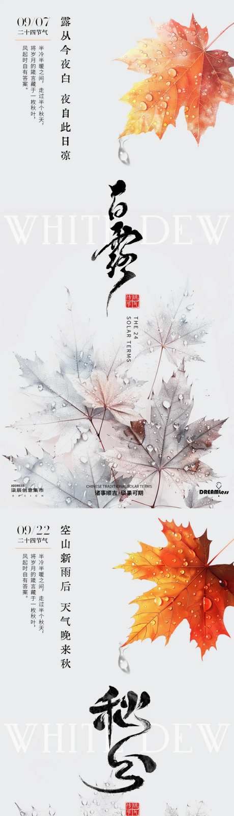 白露秋分露珠枫叶系列海报-采灵感-https://www.cailinggan.com/