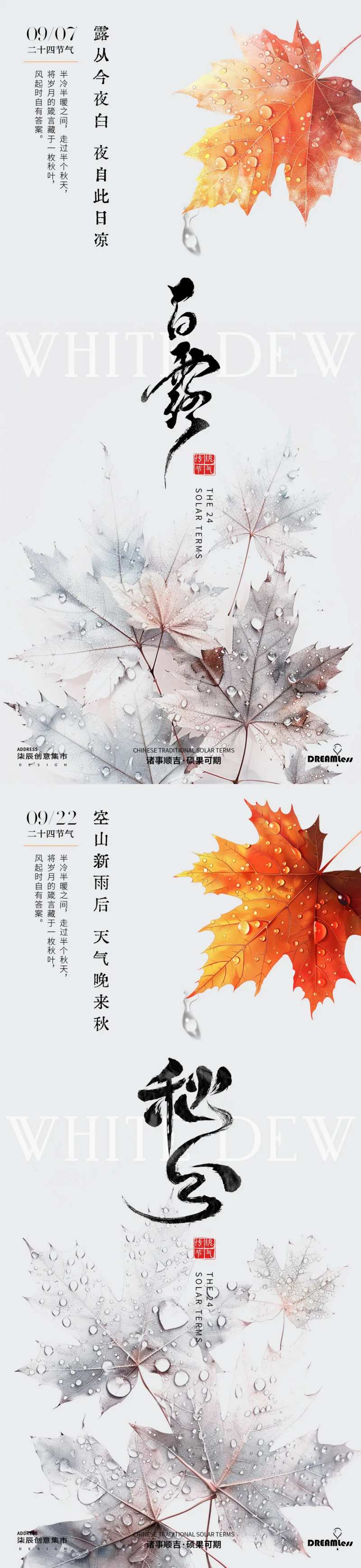 白露秋分露珠枫叶系列海报-采灵感-cailinggan.com