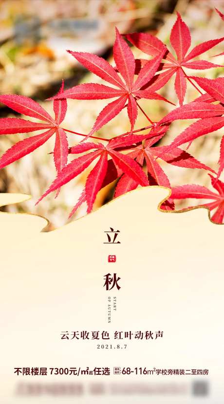 红枫叶立秋节气图-采灵感-https://www.cailinggan.com/