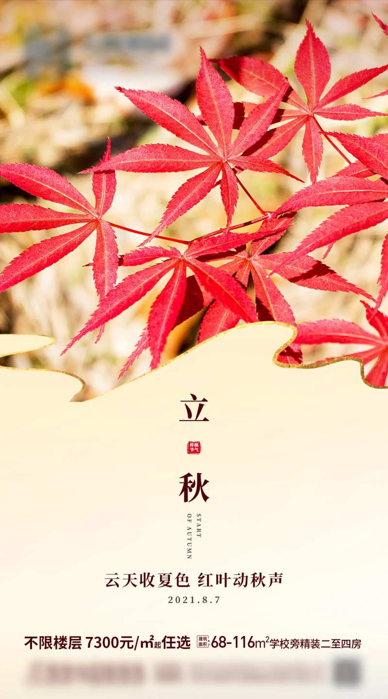 红枫叶立秋节气图-采灵感-cailinggan.com