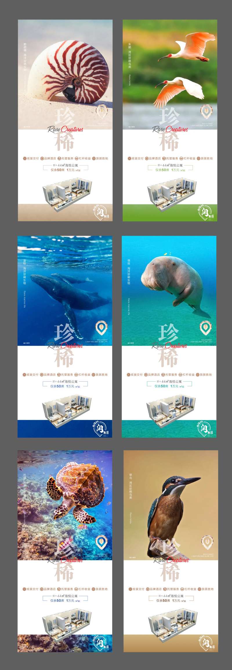 稀有动物海报-采灵感-cailinggan.com