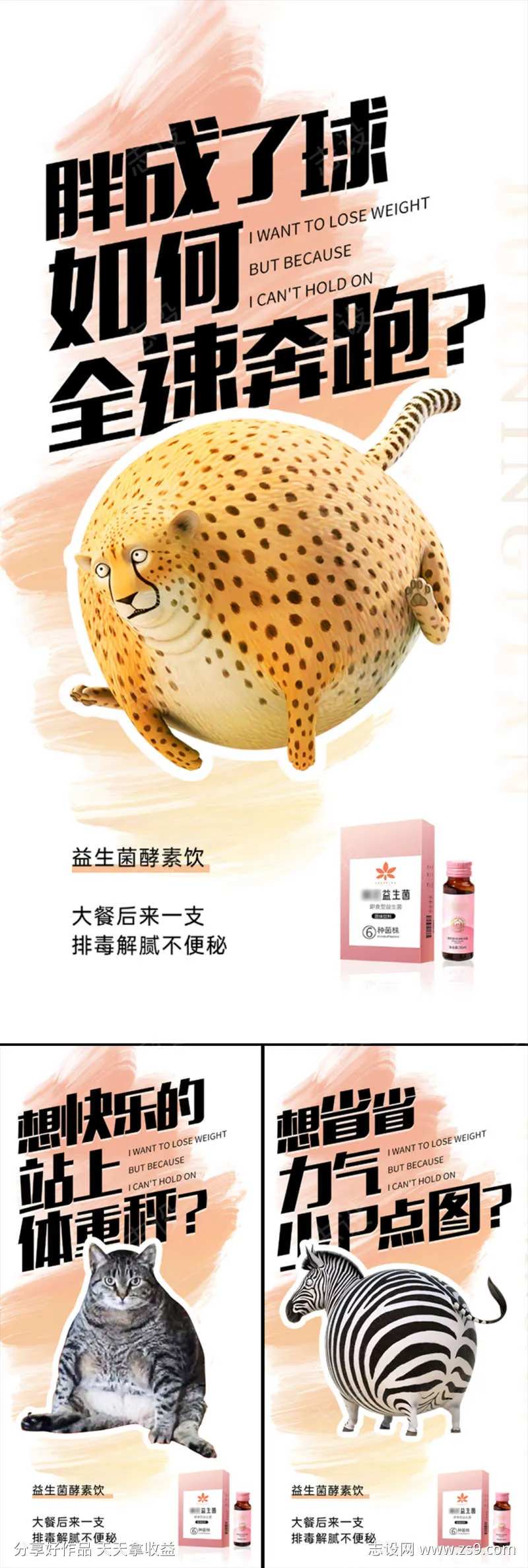 益生菌酵素肥胖瘦身猎豹蠢萌圈图海报-采灵感-cailinggan.com